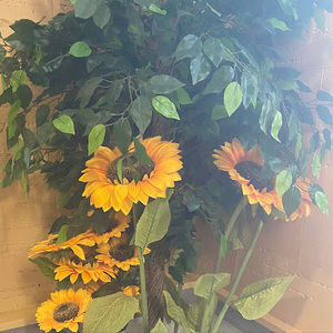 Meet your Posher, Renee